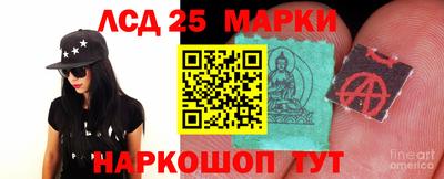 крисы Краснодар