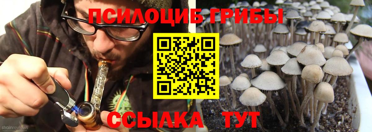 Галлюциногенные грибы MAGIC MUSHROOMS Биробиджан